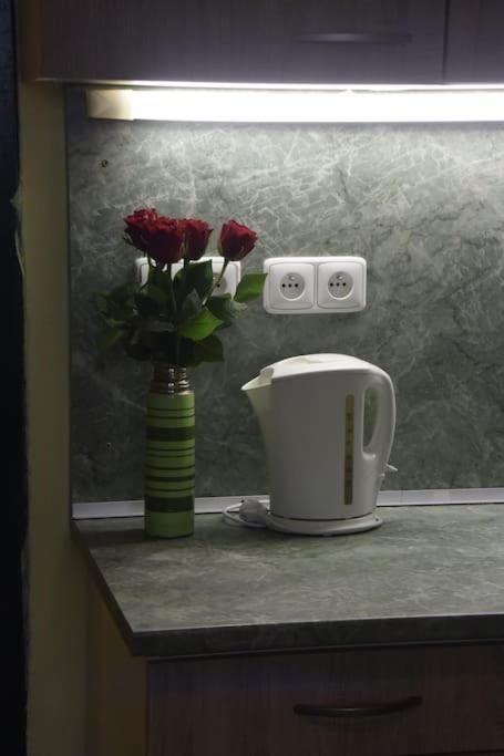 Cosy Warm Apartment In The Heart Of Prague. Экстерьер фото