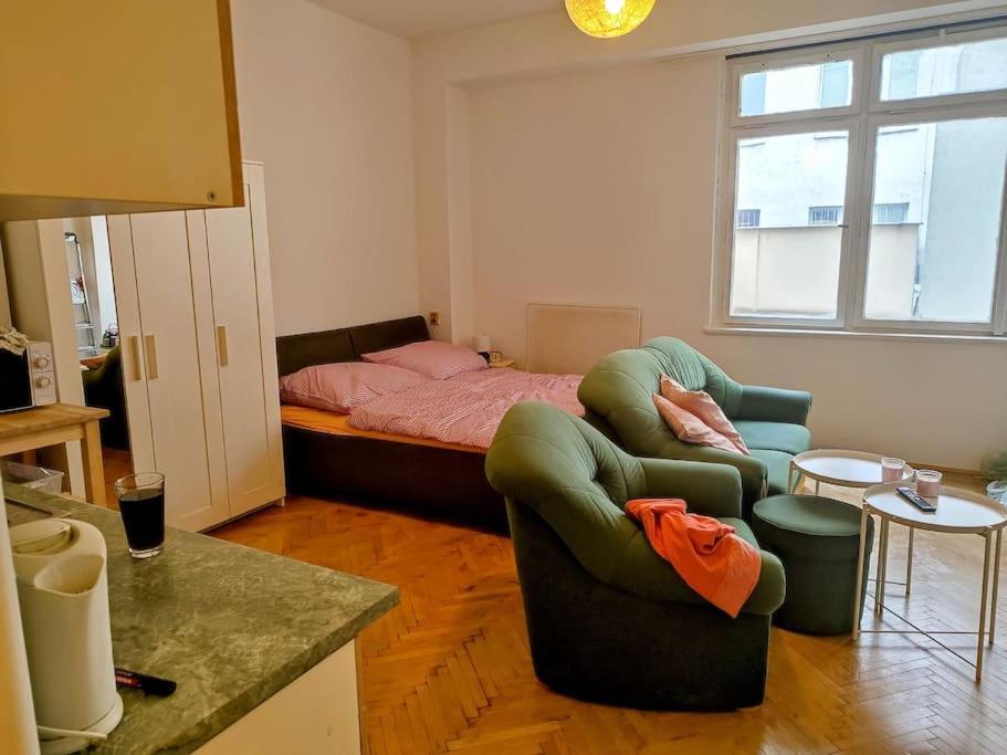Cosy Warm Apartment In The Heart Of Prague. Экстерьер фото